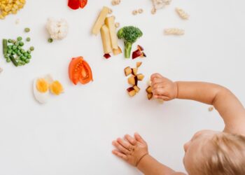 introdução alimentar