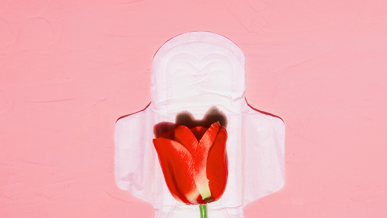 licença menstrual