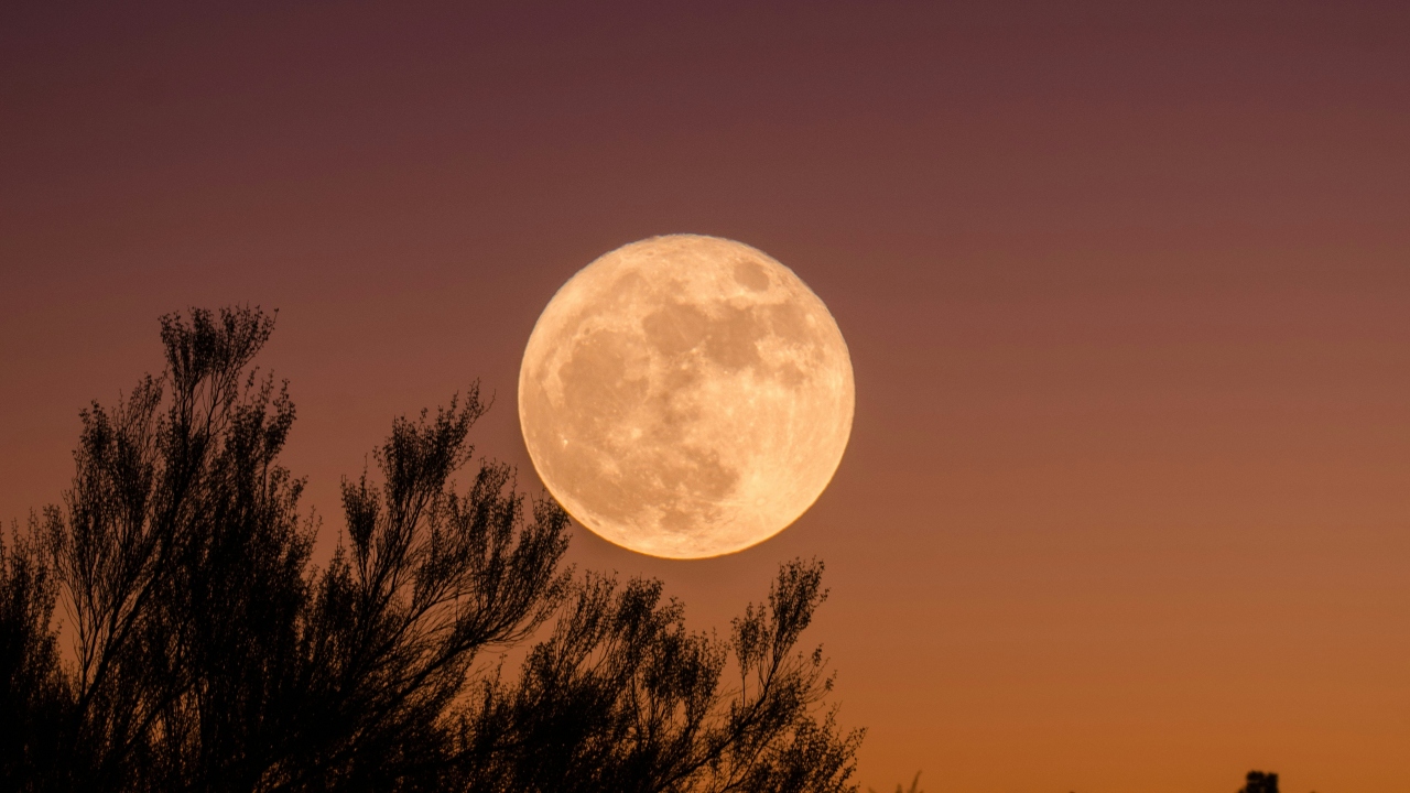 Lua cheia do veado
