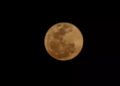 O que é a Lua de Veado? Foto: Reprodução