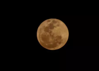 O que é a Lua de Veado? Foto: Reprodução
