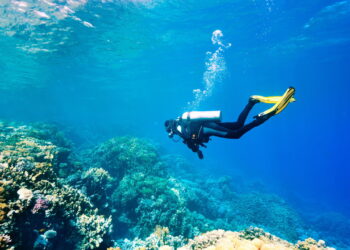 As 3 melhores cidades para ter uma experiência incrível de mergulho