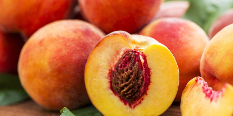 Como cultivar pêssego do jeito certo