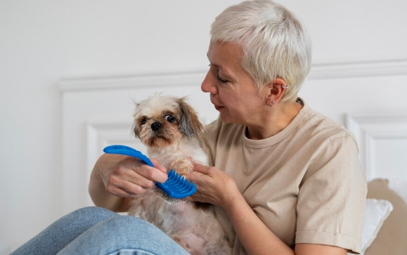 Pet idoso precisa de cuidados especiais. Foto: FreePik