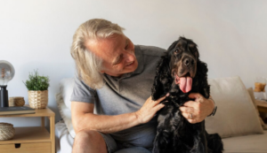 Pet idoso precisa de cuidados especiais. Foto: FreePik