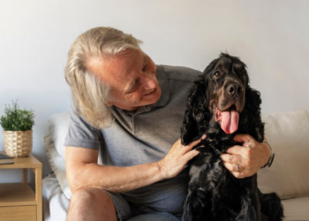 Pet idoso precisa de cuidados especiais. Foto: FreePik