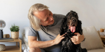 Pet idoso precisa de cuidados especiais. Foto: FreePik