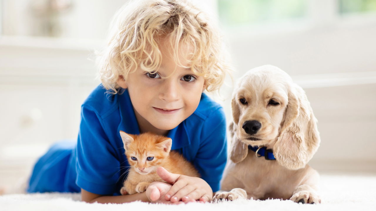 As 3 melhores cidades do Brasil para viver com filhos e pets