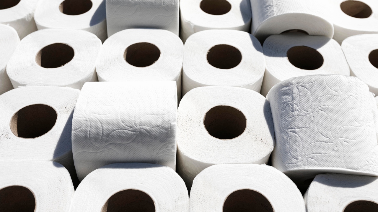 Papel higiênico no vaso