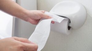 Papel higiênico no vaso