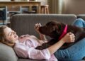 raças de cachorro para apartamento
