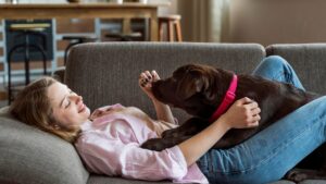 raças de cachorro para apartamento