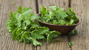 Como cultivar a própria salsa na sua casa e colher o ano inteiro