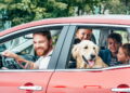 Os melhores destinos do Brasil para viajar de carro em família