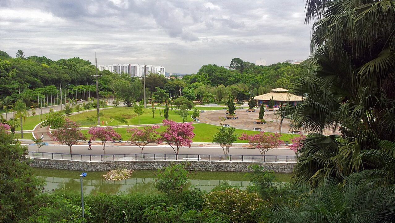 A cidade com o maior IDH do Brasil que supera cidades europeias