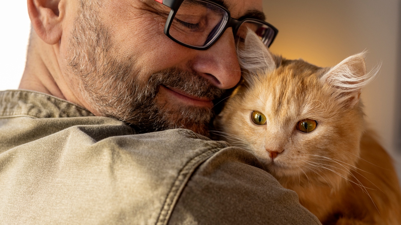humanização dos animais