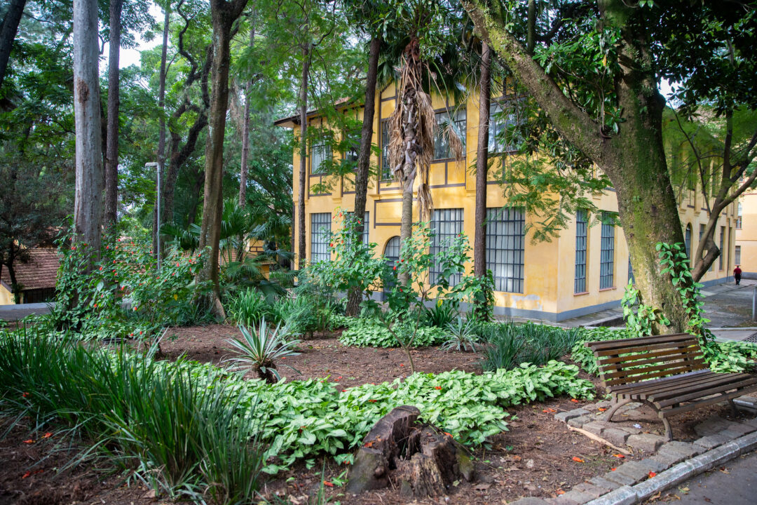 Lugares lindos escondidos em São Paulo que você tem que conhecer