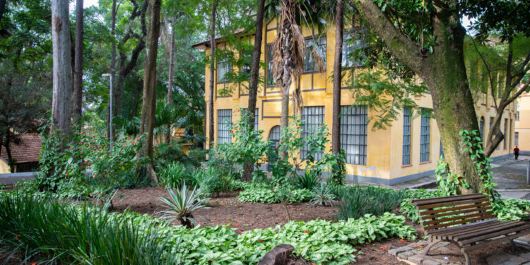 Como as plantas podem melhorar sua qualidade de vida