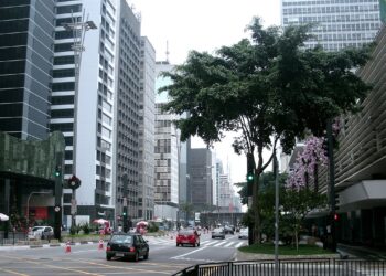As cidades do Brasil que nunca dormem