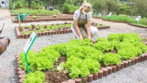 Celebridades brasileiras que têm hortas caseiras em casa