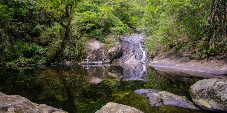 Parque Natural Municipal de Nova Iguaçu - Créditos : commons.wikimedia.org