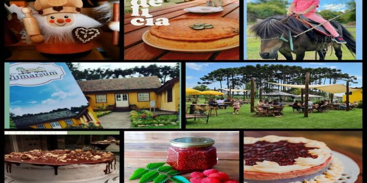 Experiência cultural que conecta o visitante às tradições germânicas. - Créditos: Imagem Divulgação Instagram @turismocoloniawitmarsum