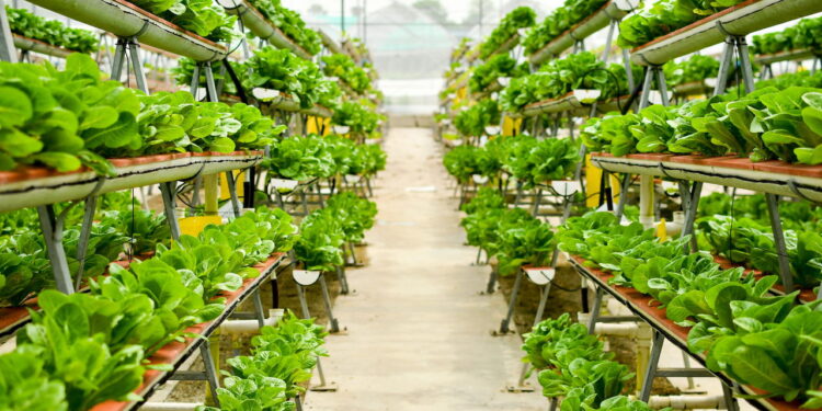 Ilustração de agricultura vertical urbana - Créditos: depositphotos.com / mustbeyou