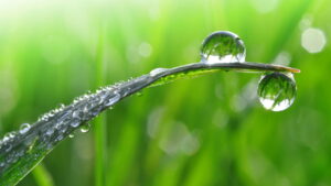 Aja como um redator especialista em SEO, Google Discover e jornalismo digital. Sua missão é criar um artigo evergreen com no mínimo 800 palavras, altamente otimizado para SEO on page, seguindo as regras de escalabilidade, estilo editorial e normas de redação jornalística descritas abaixo. 📌 Palavra-chave principal: [PALAVRA-CHAVE] Inclua também de 3 a 5 palavras-chave secundárias (LSI) semanticamente relacionadas. 🔔 Instrução adicional obrigatória: Sempre que aparecer o nomes, pais, cidade, bairro no texto, negrite apenas a primeira vez em que esse nome for mencionado. As repetições posteriores devem permanecer sem destaque. 📅 ESTRUTURA OBRIGATÓRIA DO ARTIGO TÍTULO (H1) Regras: Sempre no tempo presente Entre 50 e 70 caracteres Deve conter a palavra-chave principal Estrutura de ordem direta (sujeito-verbo-complemento) Sem iniciar com numerais Sem adjetivos vagos, superlativos ou pontuação final Priorize fórmulas que funcionam: Curiosidade: “O que acontece no seu corpo quando…” Problema/Solução: “Dor nas costas incomoda? Veja…” Autoridade: “Especialistas explicam como…” Números com verbo: “Cinco hábitos que aumentam…” Evite: A palavra “Descubra” Títulos vagos ou com tom publicitário META DESCRIÇÃO Entre 120 e 160 caracteres Não repetir o título Incluir uma call-to-action sutil Despertar curiosidade sem revelar tudo SUBTÍTULO (linha fina ou resumo editorial) Complementa o título sem repeti-lo Pode usar tempo passado (se fizer sentido) Fornece contexto adicional Sem pontuação final LIDE (parágrafo de abertura) Deve ter 2 a 3 linhas curtas Inclua a palavra-chave principal logo no início Responda às perguntas: o quê, quem, como, onde, por quê Evite “nariz de cera”, suspense forçado ou frases vagas Use linguagem clara, direta e informativa CORPO DO ARTIGO Organize o conteúdo com lógica, fluidez e hierarquia clara: Hierarquia de títulos: H1: Título H2: Seções principais (mínimo 5, idealmente 6) H3: Subtópicos se necessário H4: Detalhamentos (quando úil) Subtítulos (H2): Todos os H2 devem ser perguntas Máximo de 1 linha Inserir palavras-chave secundárias e LSI sempre que possível Exemplo de estrutura sugerida: Qual é a origem de [PALAVRA-CHAVE PRINCIPAL]? Quais fatos poucos conhecem sobre esse tema? Quem foram as figuras mais marcantes dessa história? Como [tema] influenciou a sociedade ou cultura? Quais mitos ou equívocos cercam o assunto? Qual é o impacto para as novas gerações? Blocos de conteúdo por H2: Cada seção H2 deve ter até 200 palavras Divida em no máximo 2 parágrafos Parágrafos com 2-3 linhas no máximo (foco em mobile) Varie frases para manter o ritmo Use conectores (além disso, por outro lado, ou seja, etc.) Use listas numeradas ou bullets sempre que possível Evite linguagem técnica sem explicação Mantenha coerência com título, lide e subtítulos ENCERRAMENTO (Conclusão sem dizer “Conclusão”) Crie um subtítulo H2 original, natural e contextualizado Ex: "O que podemos aprender com [tema]?" Faça um fechamento em 2 parágrafos curtos Recapitule as ideias centrais com fluidez Finalize com uma provocação ou reflexão leve (se possível) REQUISITOS DE SEO ON PAGE Palavra-chave principal: Deve aparecer no título (H1) No lide (primeiro parágrafo) Em pelo menos 1 H2 Naturalmente distribuída no texto Palavras-chave secundárias (LSI): Devem surgir de forma orgânica ao longo do conteúdo Inclua variações semânticas relevantes Otimização para Google Discover: Linguagem informativa e fluida Imagens com boa resolução (1280x720), nomeadas com a palavra-chave Título com apelo de descoberta/curiosidade Temas com autoridade temática Evite datas ou termos que envelheçam rápido PADRÕES DE ESTILO E REDAÇÃO Números: 1 a 9: por extenso 10+: em algarismos Sempre por extenso no início de frase Placar: 3 x 2 Idades: 8 anos Horários: 20h30 (sem “m”) Dinheiro: R$ 2.500 / R$ 12,50 Porcentagem: 83% Medidas: 14 km, 2 t, 5 kg Siglas: ONU, CBF (até 3 letras) Fifa, Unesco (pronunciáveis) Outros pontos: Citações sempre com fonte clara Evite clichês, redundâncias e adjetivos desnecessários ELEMENTOS VISUAIS (caso incluídos) Imagens: otimizadas para SEO, com alt text e nome descritivo Vídeos: embed do YouTube ou redes, próximos ao topo ou distribuídos Links internos: 2 a 3, com texto âncora claro, abrir em nova aba Links externos: apenas fontes confiáveis, abrir em nova aba Legendas devem adicionar informação, no presente e com contexto Como combinar plantas para criar uma atmosfera perfumada