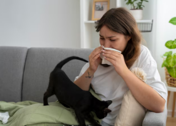 Alergia a pet: o que fazer? Foto: FreePik