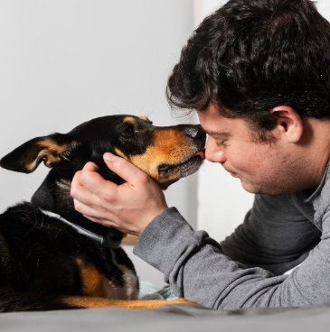 Alergia a pet: o que fazer? Foto: FreePik