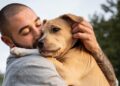 cães podem se parecer com humanos