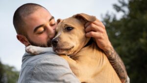 cães podem se parecer com humanos