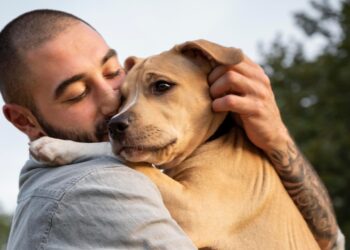 cães podem se parecer com humanos