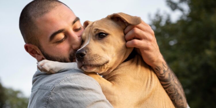 cães podem se parecer com humanos