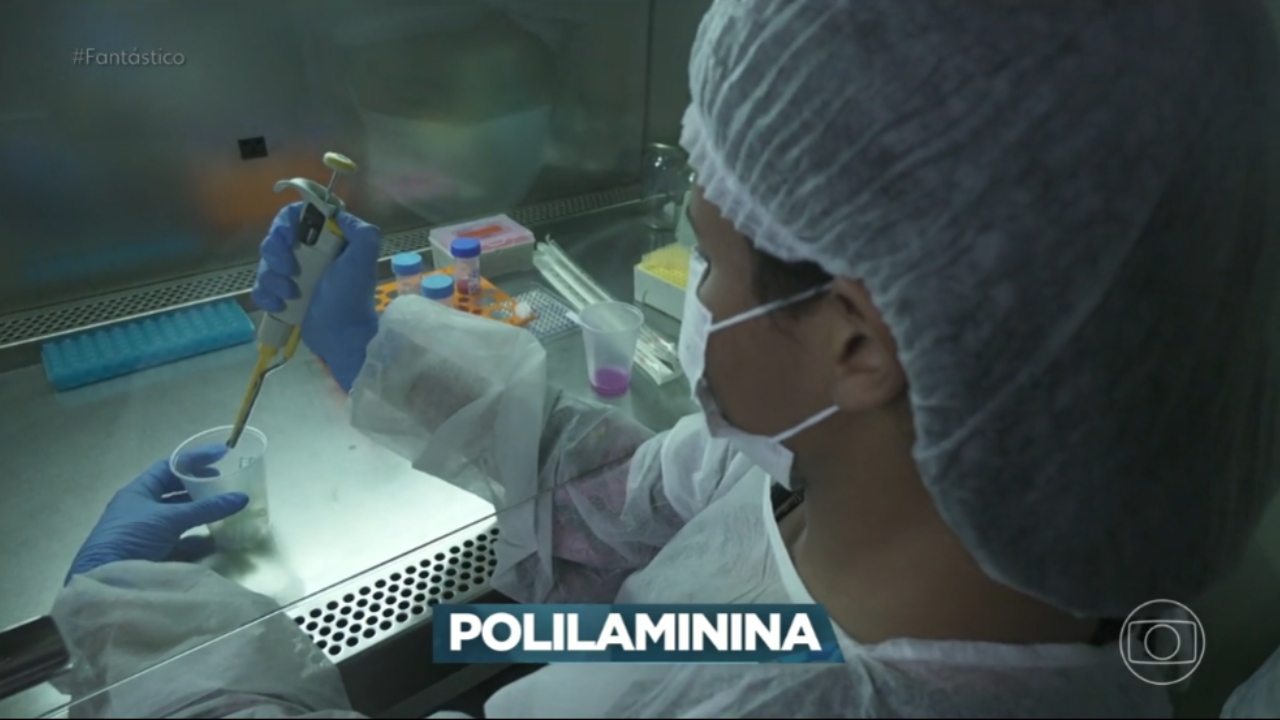 polilaminina