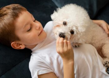 pets e crianças