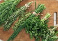Ervas frescas para uso - Créditos: depositphotos.com / VadimVasenin