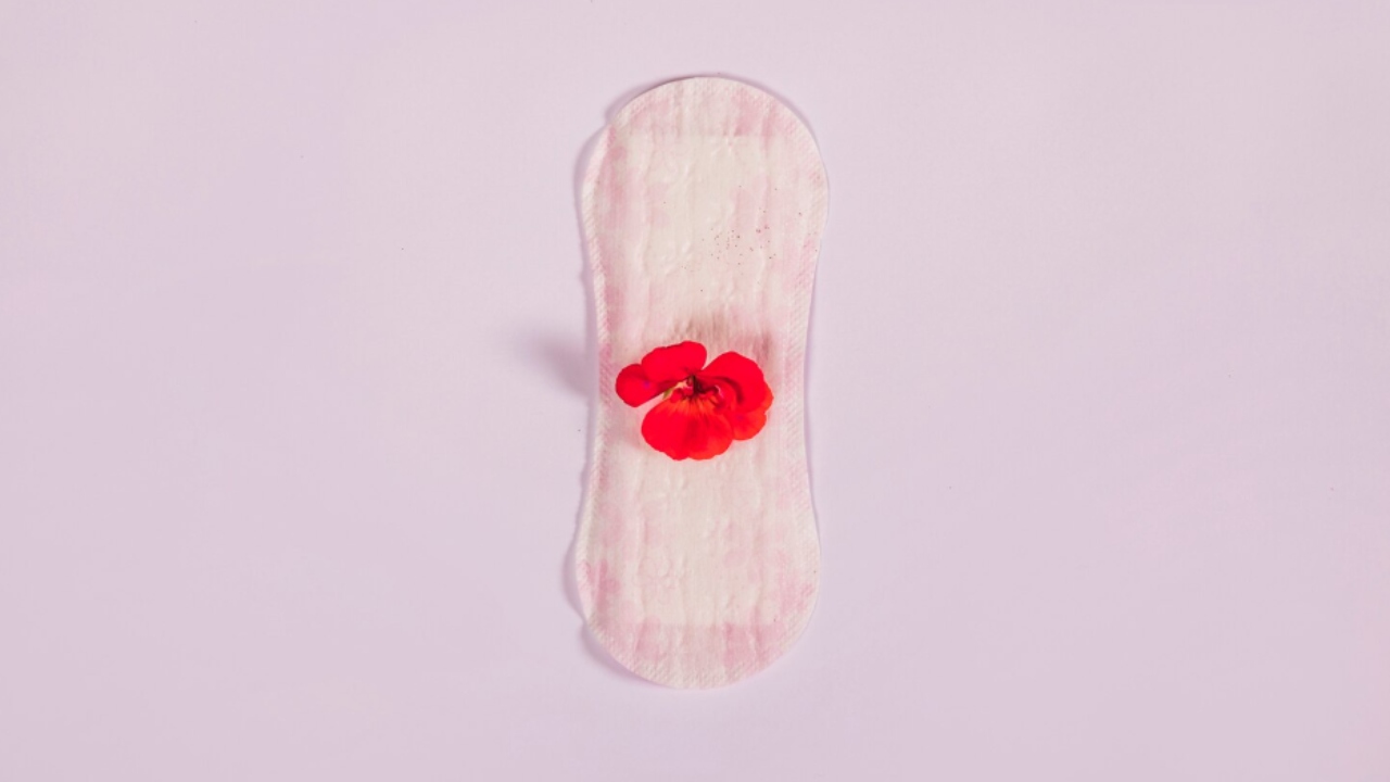 primeiro ciclo menstrual