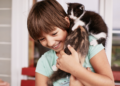 Gatos também gostam de brincar. Foto: FreePik