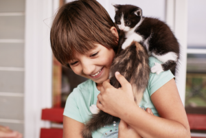 Gatos também gostam de brincar. Foto: FreePik