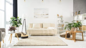 As plantas que menos precisam de sol para você ter dentro de casa