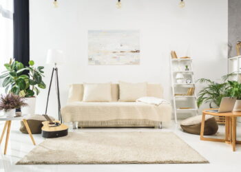Essas plantas vão deixar sua casa mais cheirosa