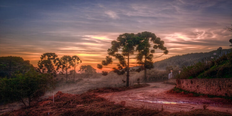 Monte Verde - https://www.flickr.com/photos/rvc/31640041985