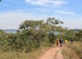 Parque das Copaíbas - Créditos : https://www.flickr.com/photos/agenciabrasilia/52022183228
