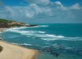 Praia do Amor -  Pipa Rio Grande  do Norte - Créditos : www.pexels.com