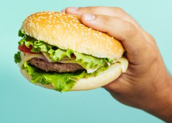 pode comer hamburguer na dieta