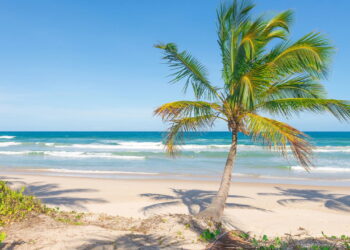 Praia paradisíaca de Itacaré - Créditos: depositphotos.com / Junot