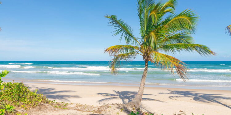 Praia paradisíaca de Itacaré - Créditos: depositphotos.com / Junot
