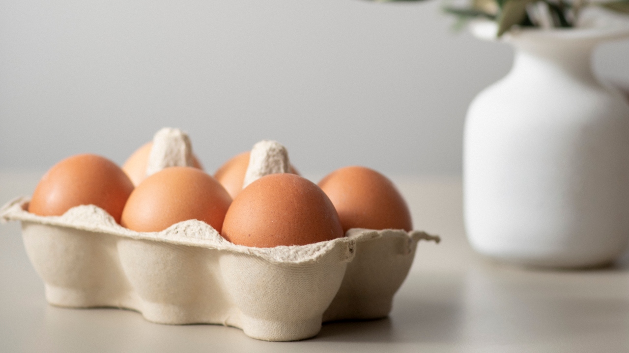 validade dos alimentos