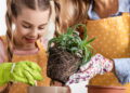 Mãe e filha plantando - Créditos: depositphotos.com / AndrewLozovyi